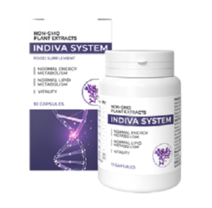 InDiva System - comentários - opiniões - forum